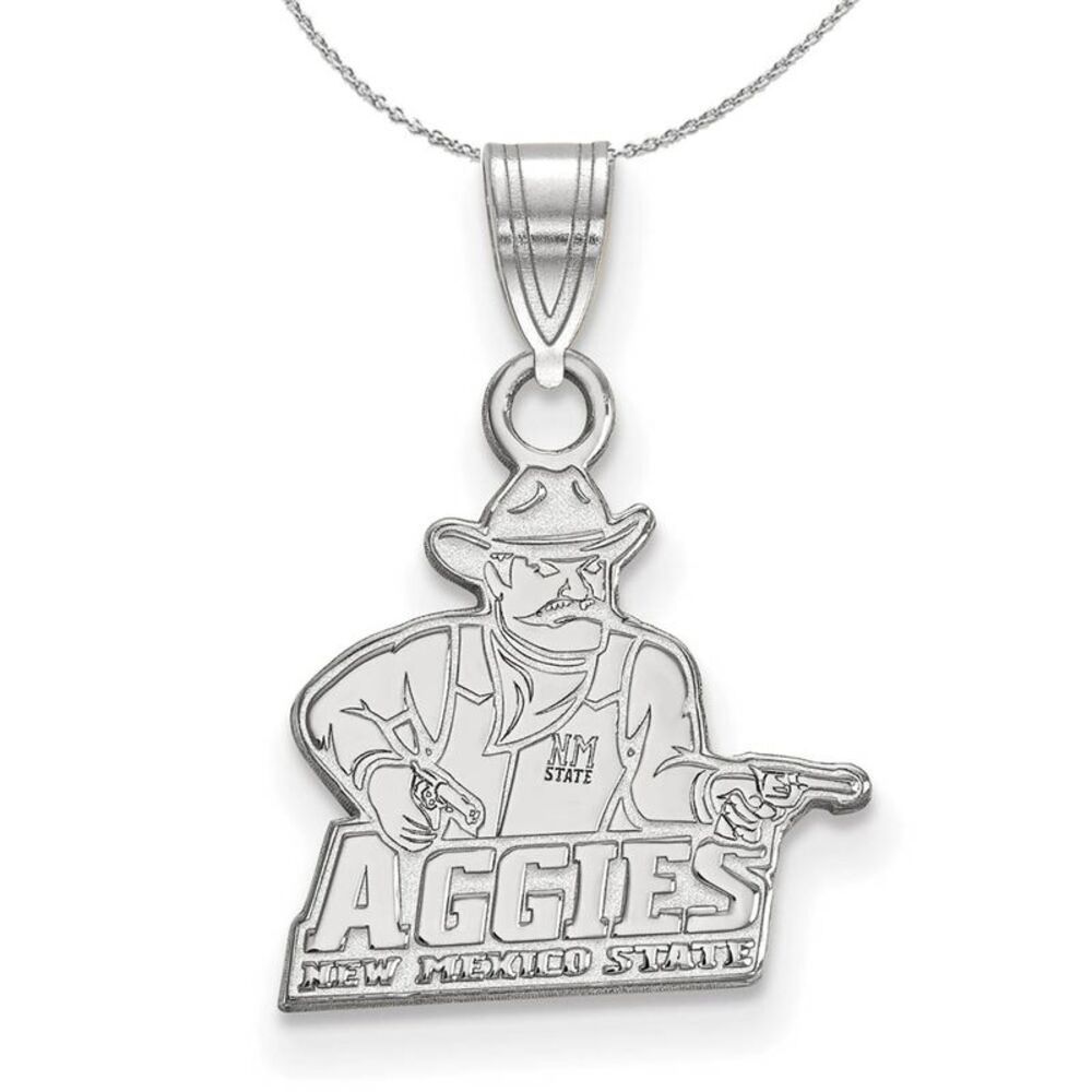 Sterling Silver New Mexico State Small Necklace - 24 Inch